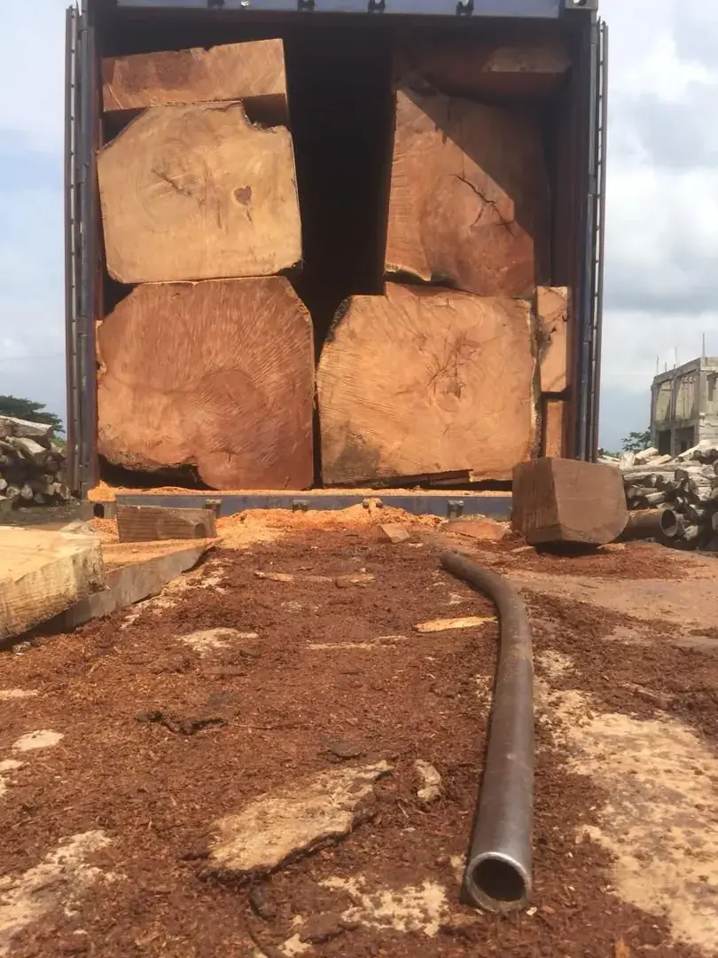 A container loaded with hardwood logs