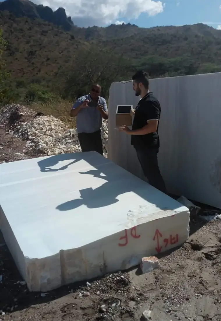 The team inspecting marble blocks at the quarry