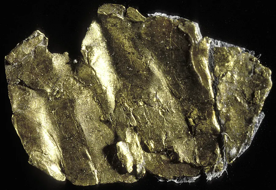 A specimen of native gold